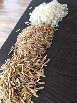 برنج هندی ساختگی است یا کاشتنی ؟
