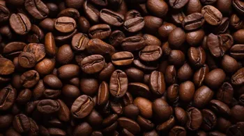 تفاوت اسکرین قهوه 16، 17 و 18 چیست؟ بررسی اندازه دانه قهوه
